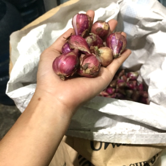 

Bawang merah Brebes