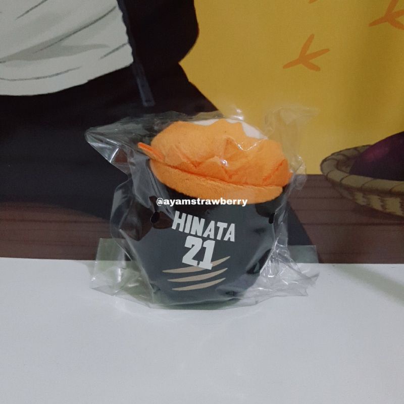 READY Haikyuu Noru Chara Mascot Hinata MSBY