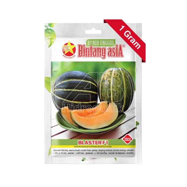 1 Gram - Benih Buah Blewah Hibrida Blaster F1 Bintang Asia