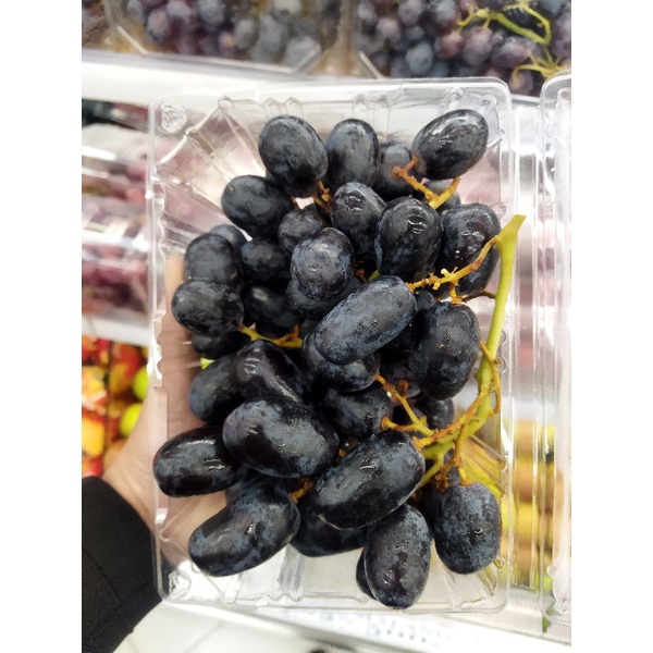 

Anggur midnight beauty afrika tanpa biji | 500 grm