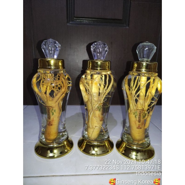 

Ginseng korea
