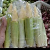 

JAGUNG MUDA BABY CORN