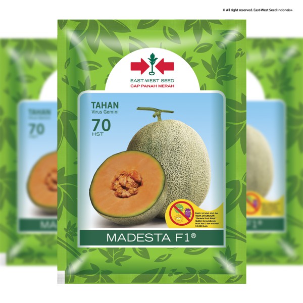Benih Bibit MELON MADESTA F1 @ 200 Biji - Cap Panah Merah