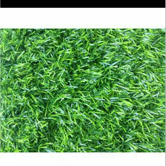 Rumput sintetis /rumpul palsu/karpet rumput