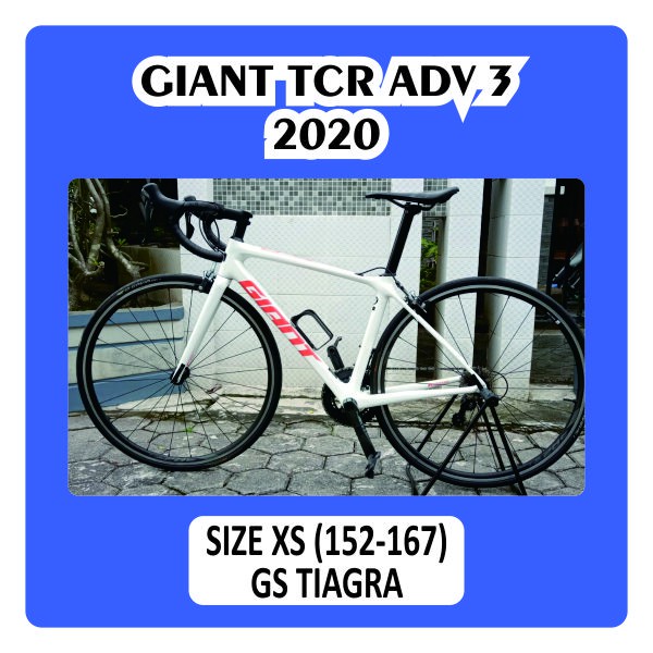 Road bike Giant TCR Adv 3 2020 Size XS Grupset Tiagra 10 S Speed Carbon Sepeda Balap Rim brake