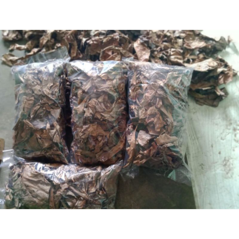 

daun ketapang laut olah 250gram