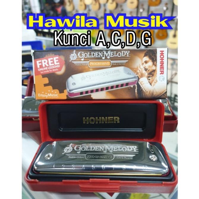 Golden Melody Harmonica Harmonika HOHNER Golden Melody Made in Germany