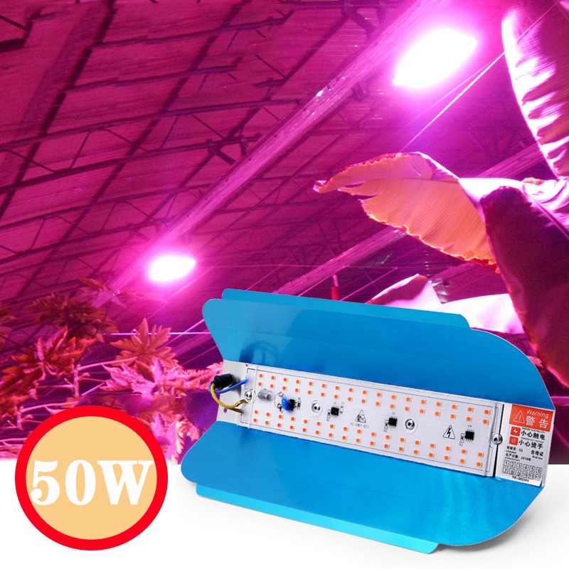 Lampu Tanaman Hidroponik Waterproof Led Grow Light Hydroponic 50W 220V