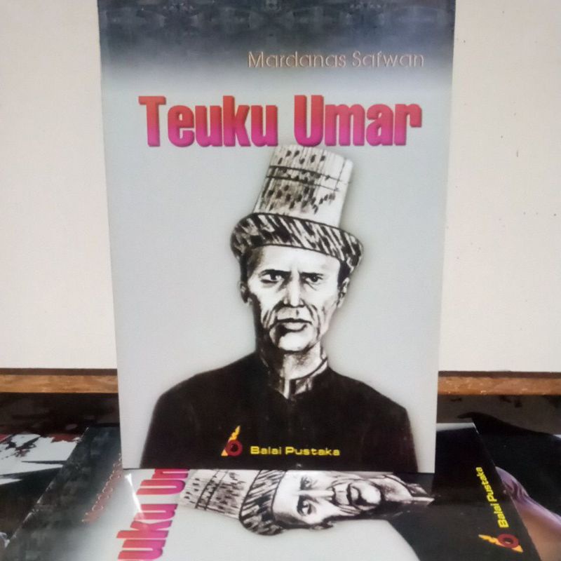 Buku Biografi Pahlawan - Teuku Umar