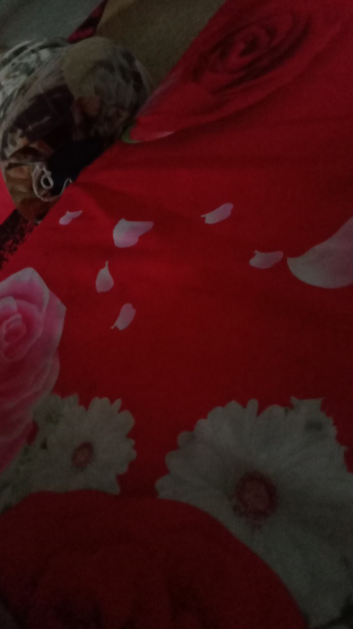 Bswart Batik Hrb026 Kenongo Hem Pendek Padi Pekalongan M L Xl Batik Pria Murah Modern Grosir Eceran