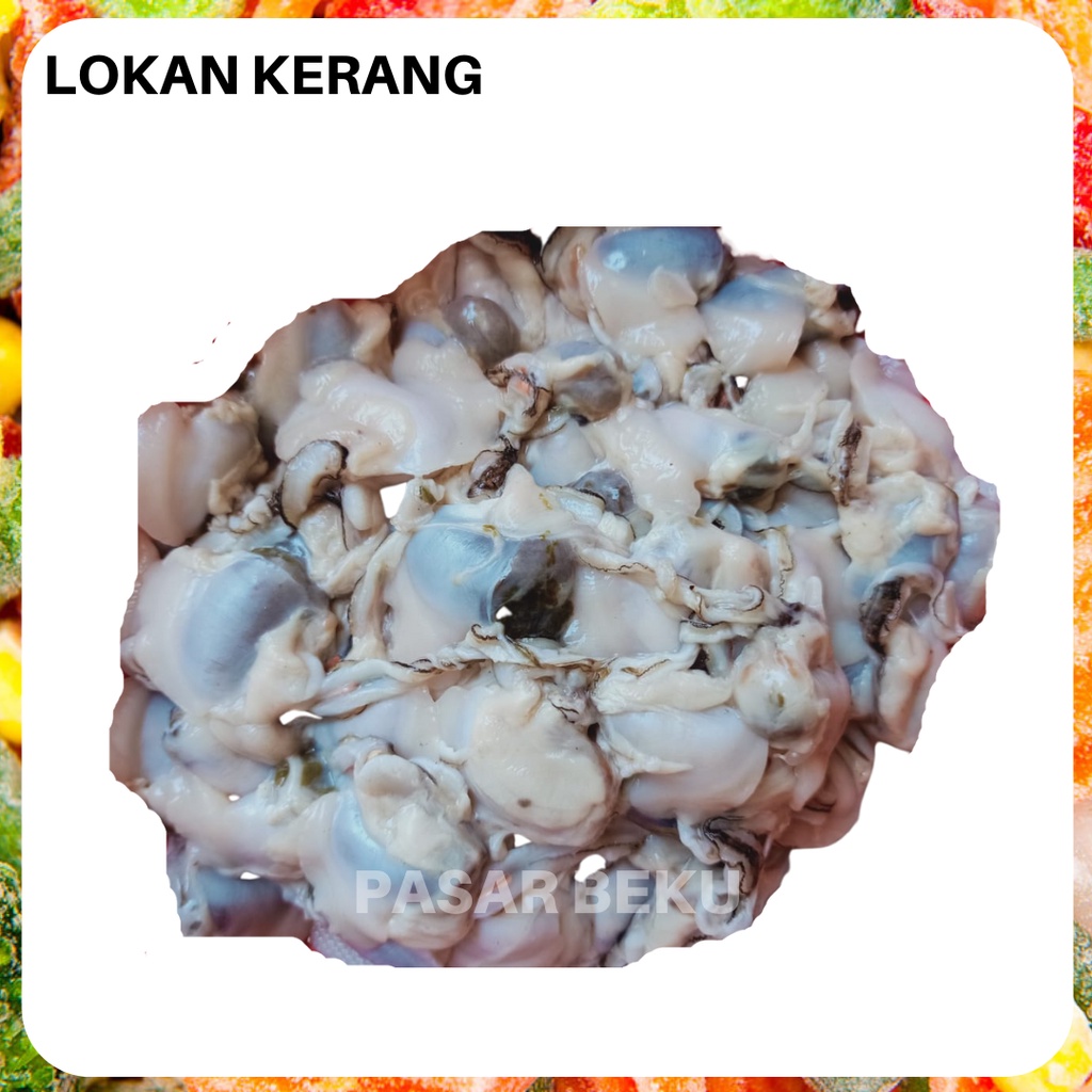 

Kerang Lokan Sungai Segar 500gr Siap Packing Fresh Seafood Frozen Food Rendang Lokan Pasar Beku