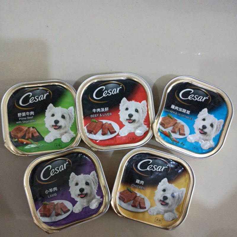 cesar all varian dog food | makanan anjing basah