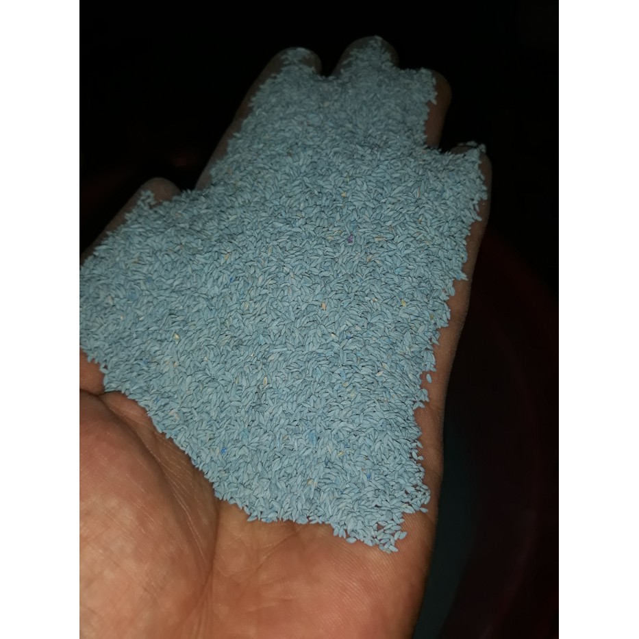 Jual benih rumput taman-rumput golf-rumput jepang-rumput gajah mini