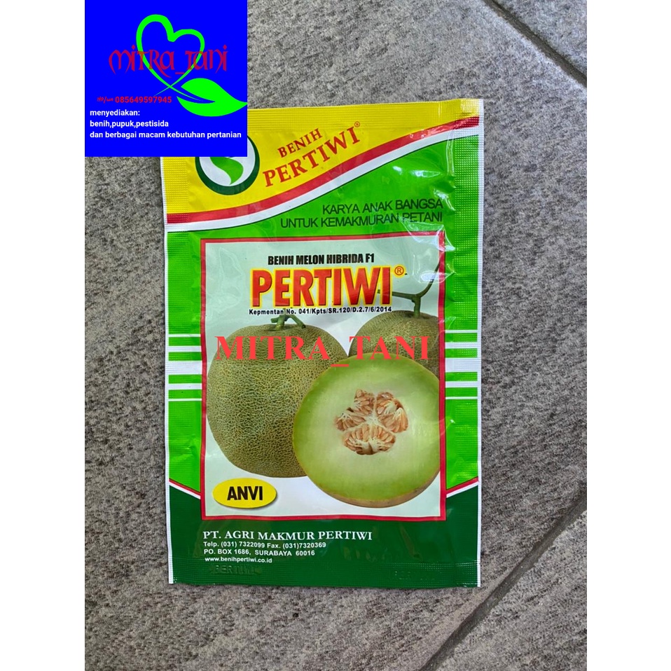 benih melon PERTIWI ANVI -+13 gram dari PERTIWI
