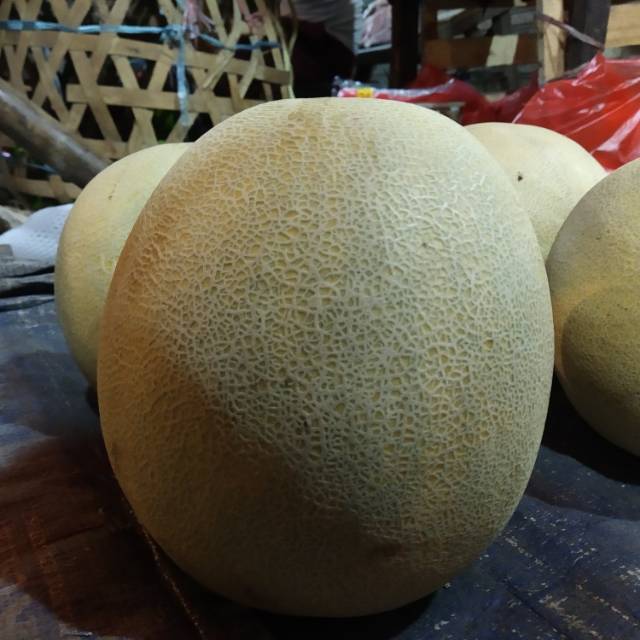 

Buah Melon