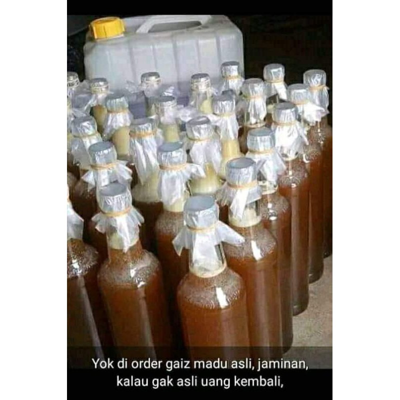 

madu hutan asli