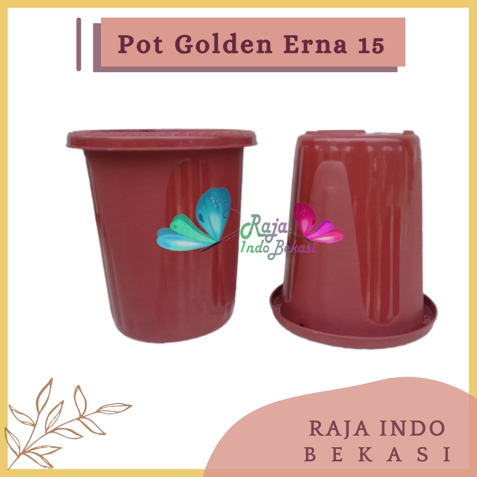 Pot GE15 Golden Erna 15 Merah Bata Coklat Terracota Terracotta Garden Of Love Mirip Pot Yogap 10 13 15 Putih Coklat Merah Bata Bening Transparan Pot Yogap 17 18 19 Pot Yogap Murah Pot Bunga Tinggi Pirus Tegak Bagus Tebal