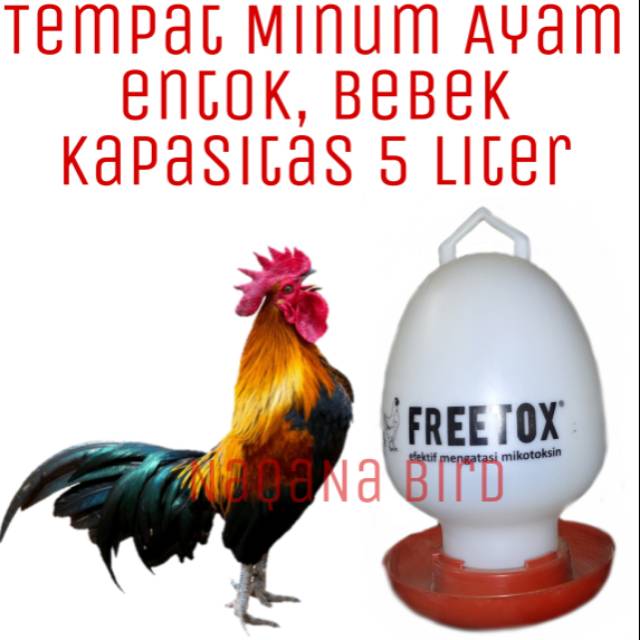 Tempat Minum Ayam Kapasitas 5 Liter