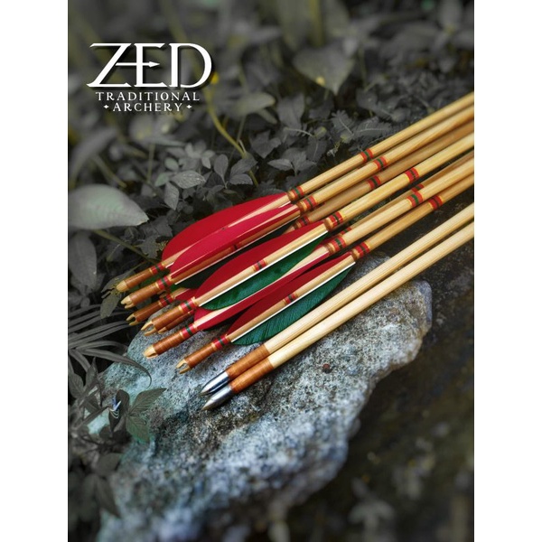 Arrow Sultan Seljuk (Arrow Sultan Seljuk) V1