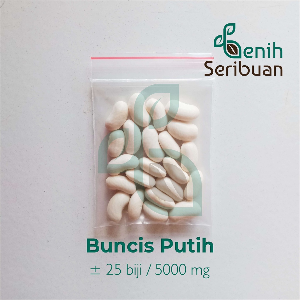 25 Benih Buncis Putih Sayuran Unggul Berkualitas - Bibit Tanaman Sayur Seribuan-3