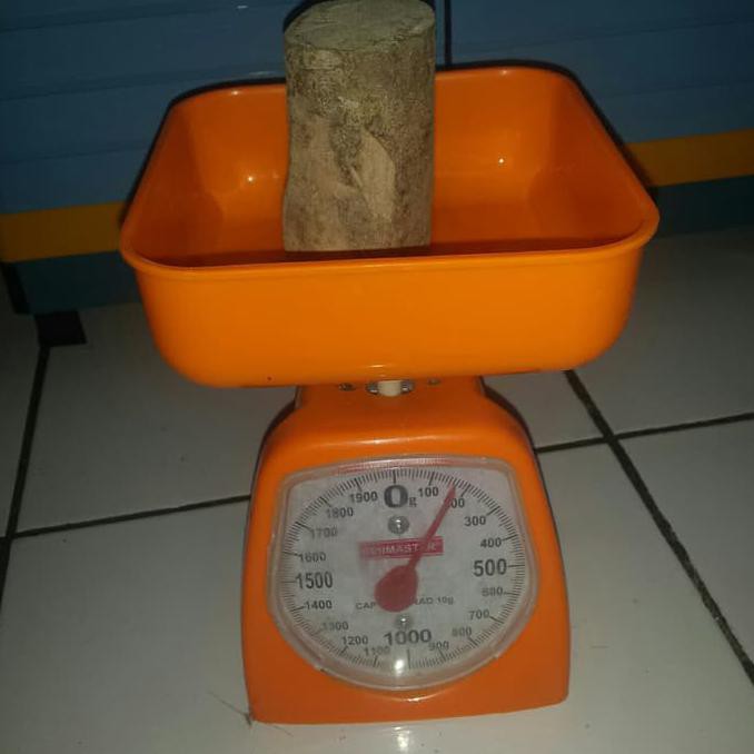 Best Price Kayu  Ular  Papua Kayu  Songga Asli  Shopee 