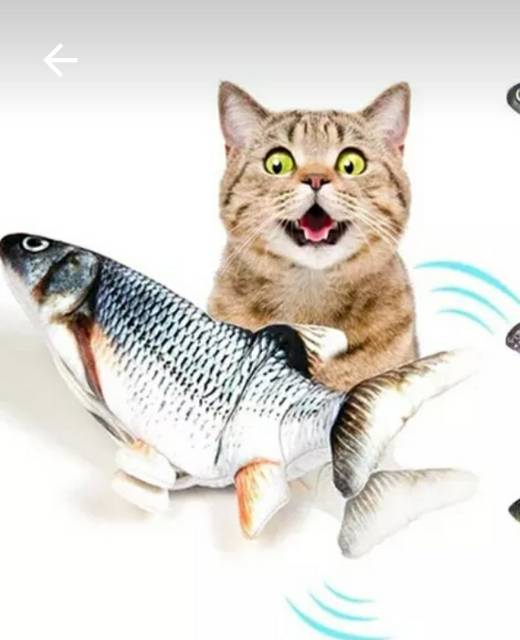 BUY 1 GET 1 mainan kucing puppy gigitan ikan lopster catmint toys bergerak moving catnip fish