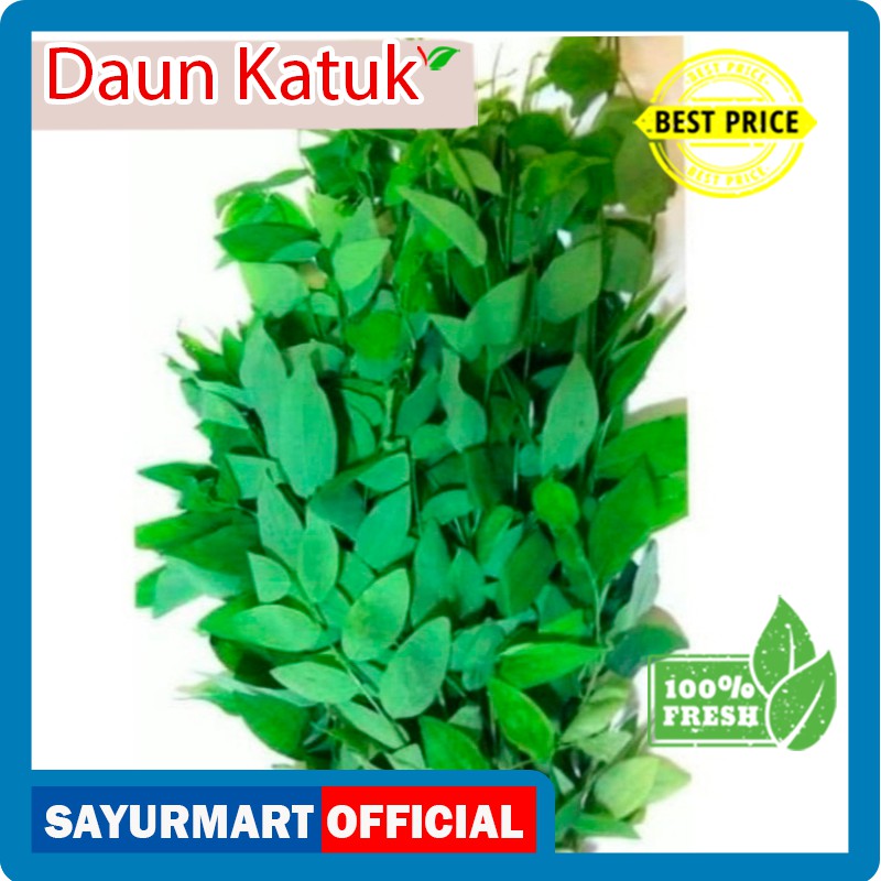 

Daun Katuk Muda Sayur Segar per ikat