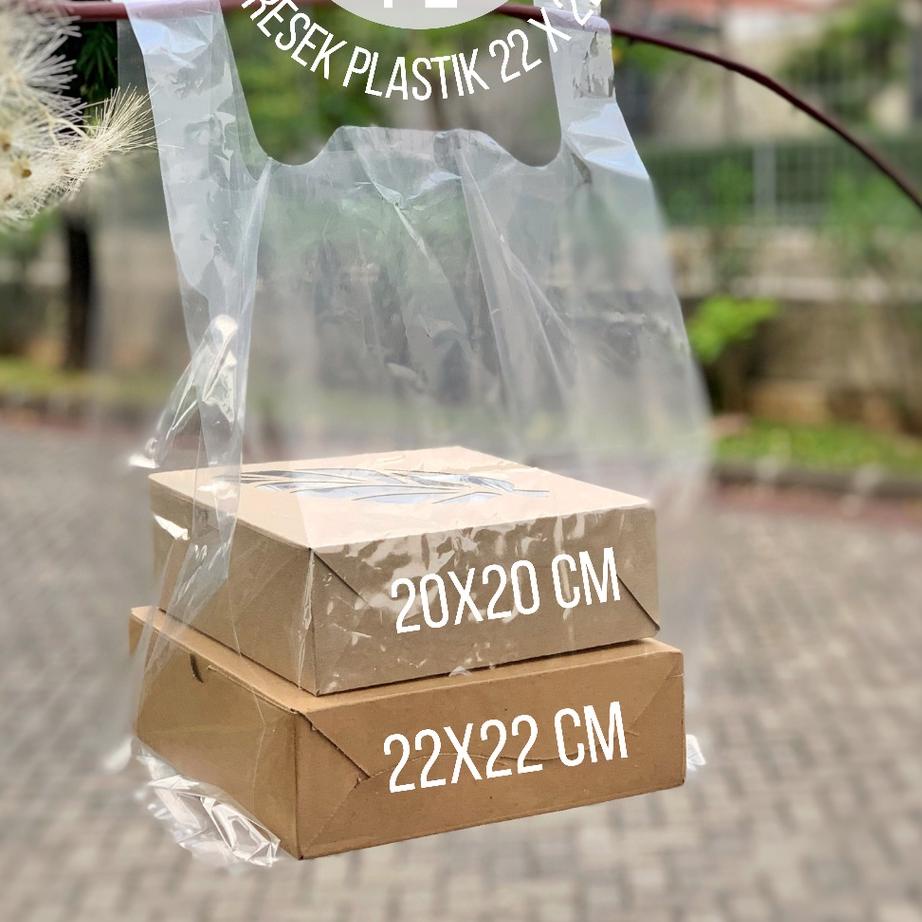 

tas plastik BENING isi 50 untuk dos 22 x 22 kantong PE PP TRANSPARAN tebal kresek kantung clear transparant