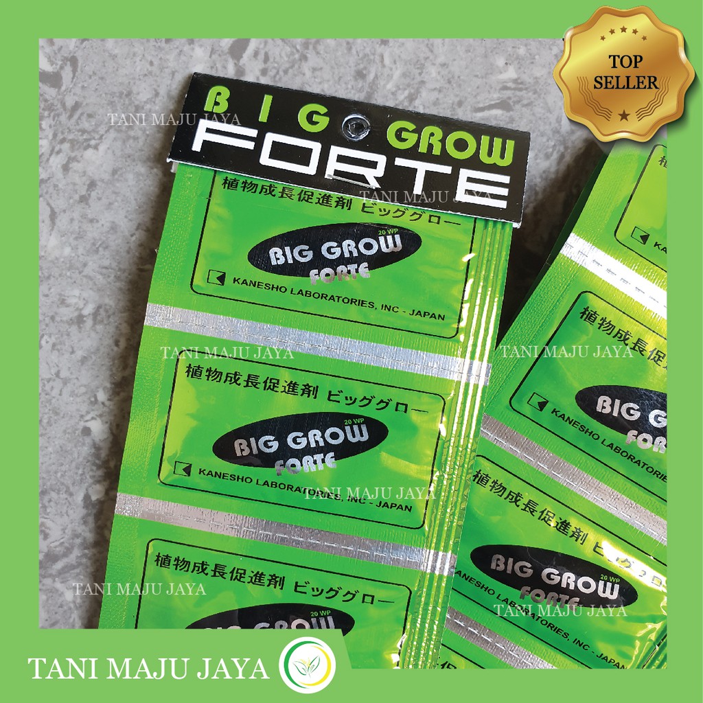 Pupuk ZPT Big Grow Forte 20WP sachet 1gr Obat Biggrow Pembesar Tanaman Buah GA3