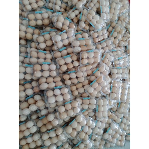 

telur kampung omega 3