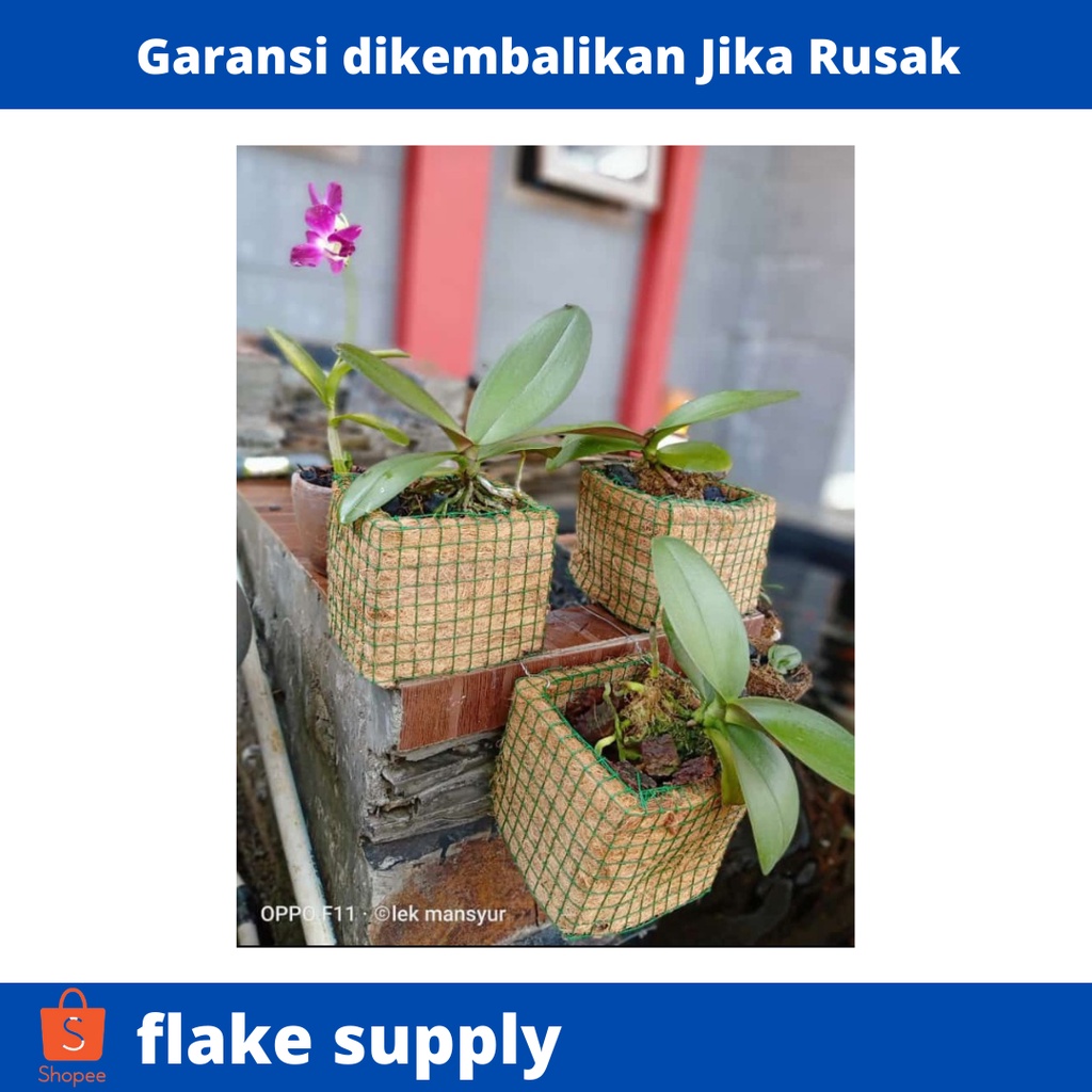 pot sabut kelapa anggrek murah besar pot dari sabut kelapa pot gantung anggrek