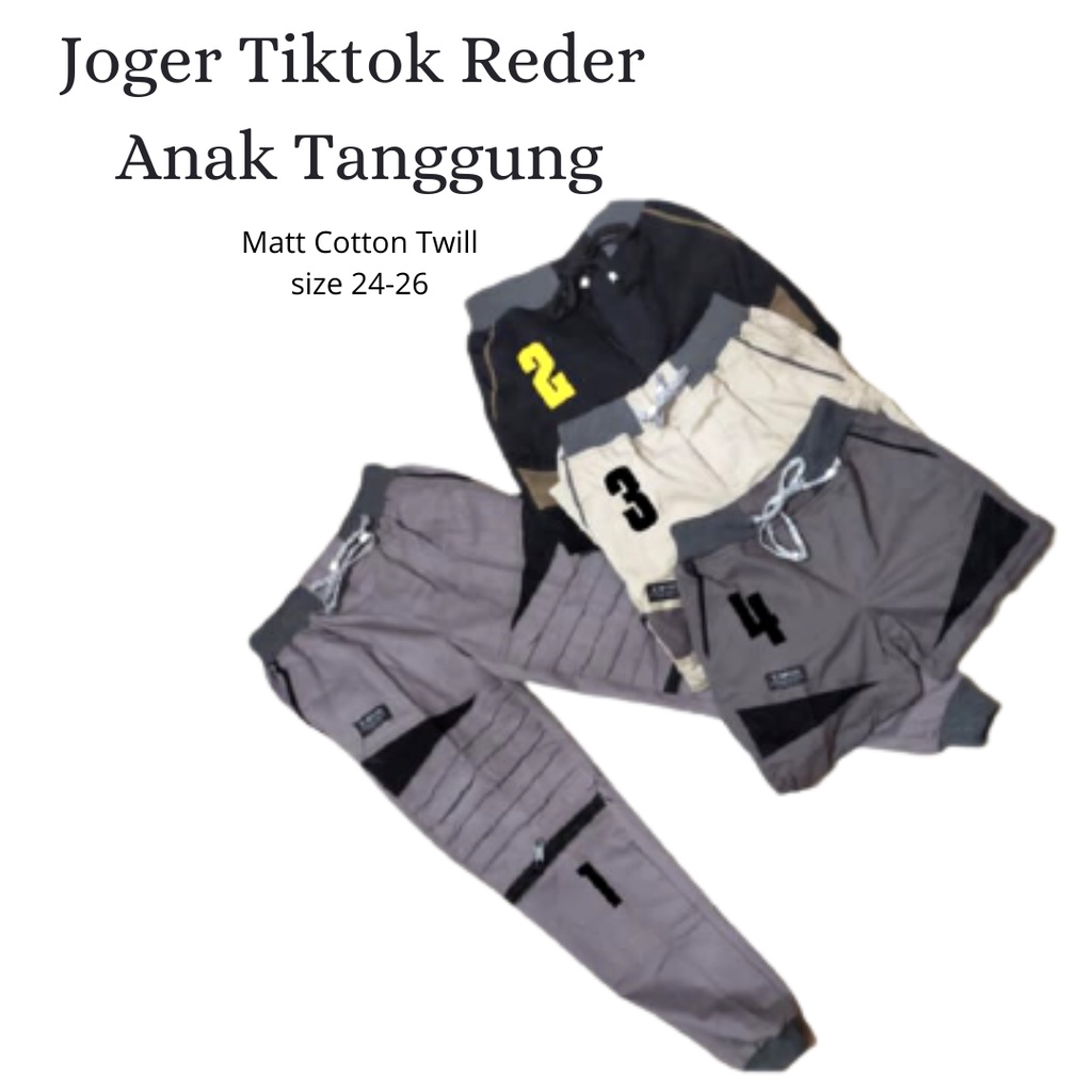 Jogger Tiktok Anak Tanggung Reder Chinos pinggang karet 24 25 26