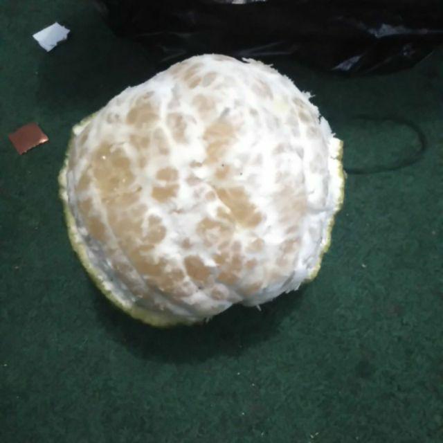 Pylox/pilok 128a Samurai Flat Clear Standard - Cat Semprot Aerosol