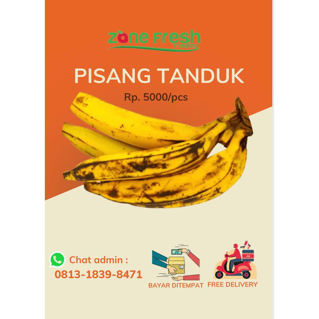 

PISANG TANDUK