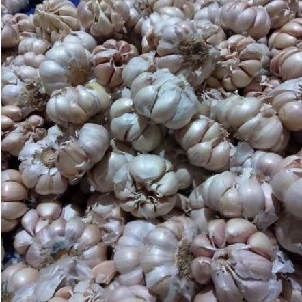 

Bawang putih bersih paket 1kg/1000gr