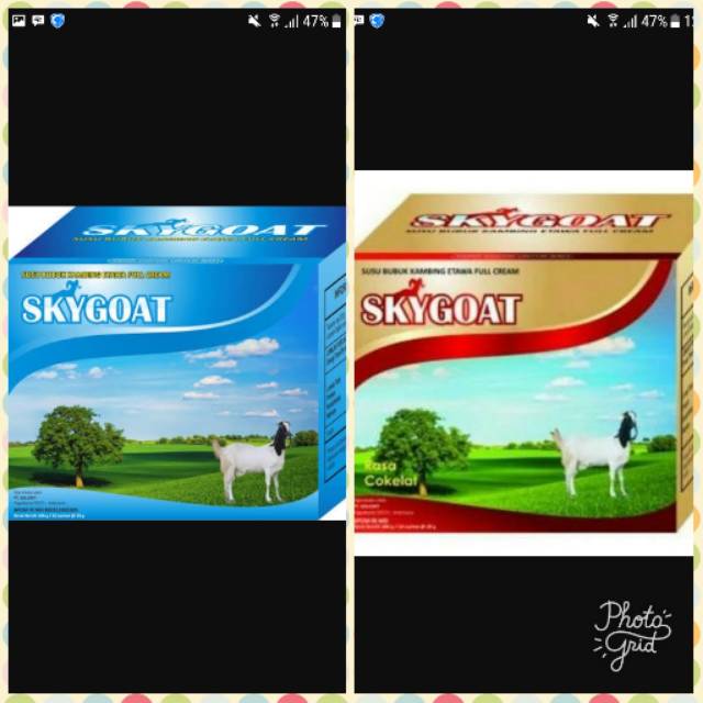 

Susu kambing etawa