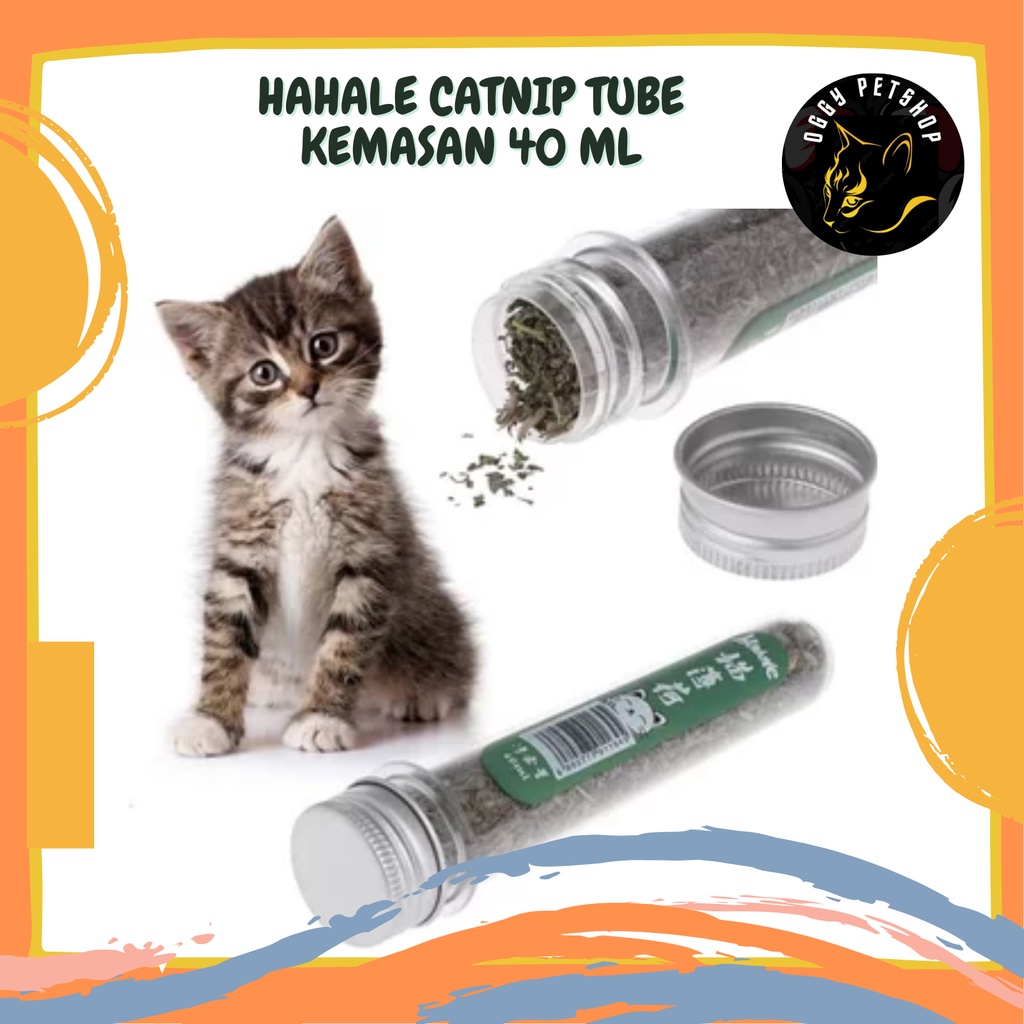 HAHALE CATNIP TUBE Serbuk Catnip Kucing Kemasan Tabung Botol isi 40 ml