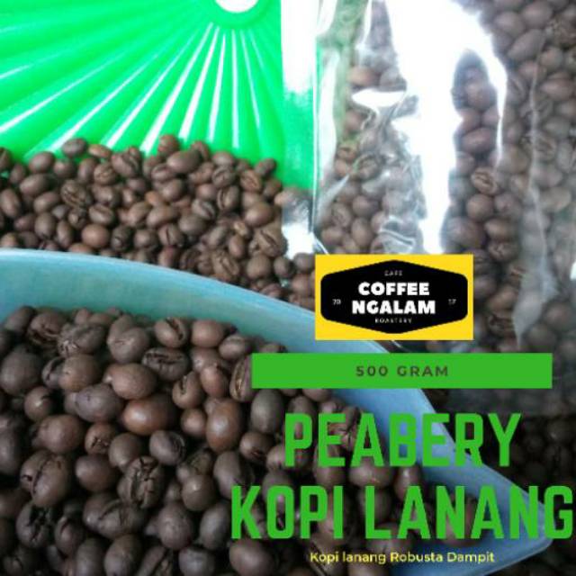 

Kopi Lanang / Peabery - 500 gram