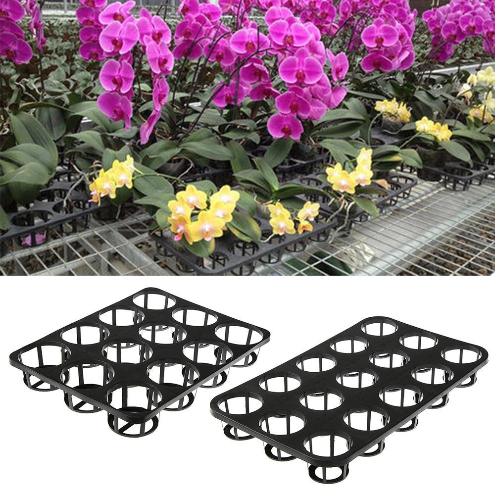 Solighter 5/10PCS Nampan Tanam Grid Divided Plastik Sprout Plate Perlengkapan Taman Bentuk Phalaenopsis 12per15lubang Braket Baskom