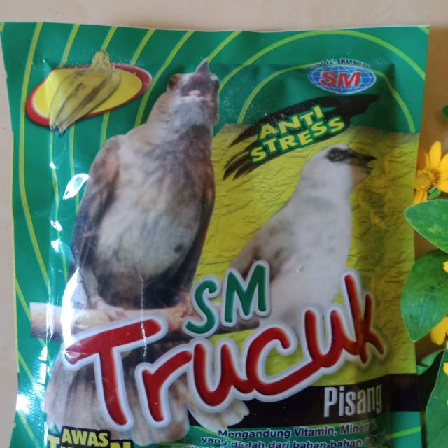 

SM trucuk pisang