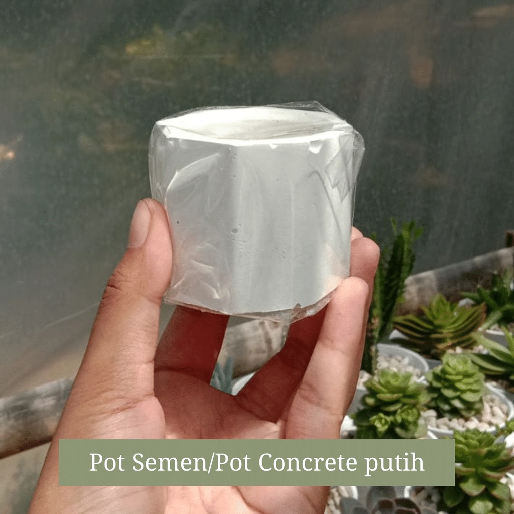 Pot semen/Pot concrete Putih Kaktus Sukulen