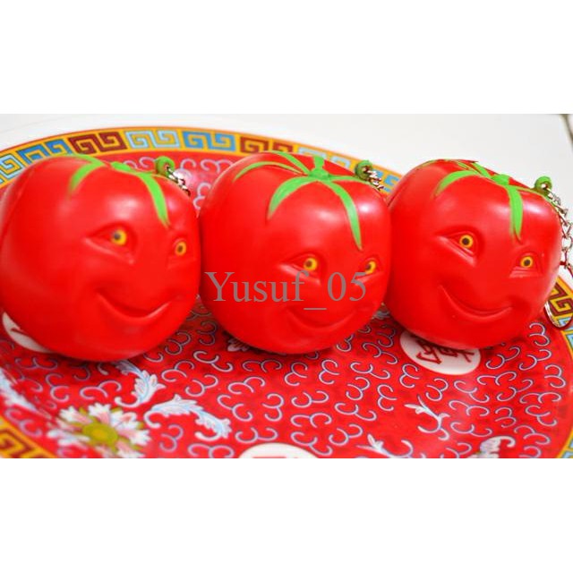 

TERPOPULER Happy tomatoes squishy tomat smile MURAH