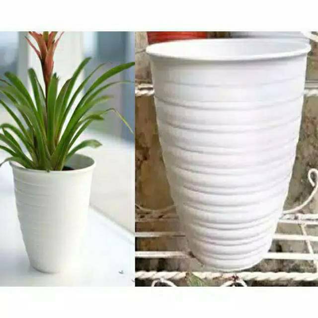 Pot Bunga Plastik Model Tawon Tirus Pirus 18 Cm Putih Pot Bunga Plastik Model Tawon Tirus Pirus 18 Cm Putih