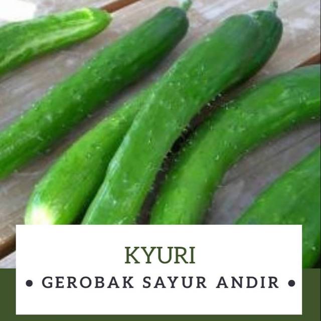 

Kyuri / 500gr