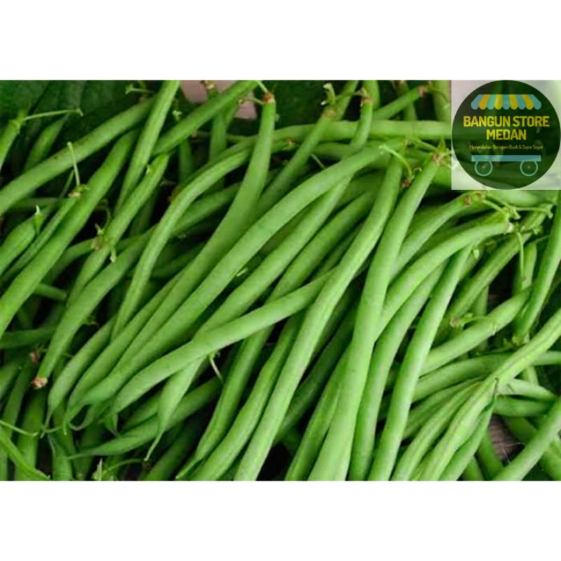 

BSM | TERMURAH Buncis / Fine Bean / Sayur Buncis Hijau Segar 500gr - 1kg | Sayur online