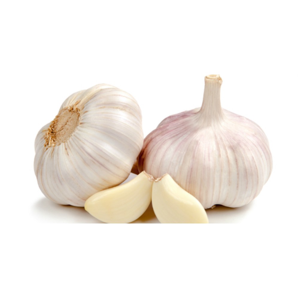 

Bawang Putih
