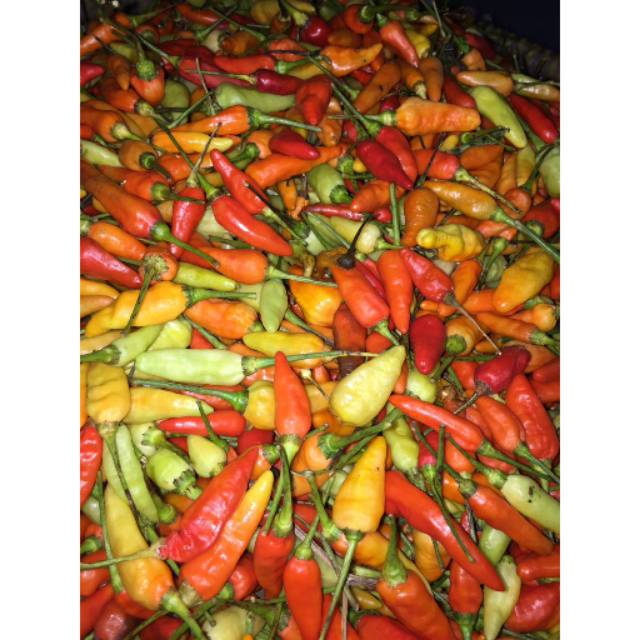 Cabai rawit merah - cabe rawit 1 ons