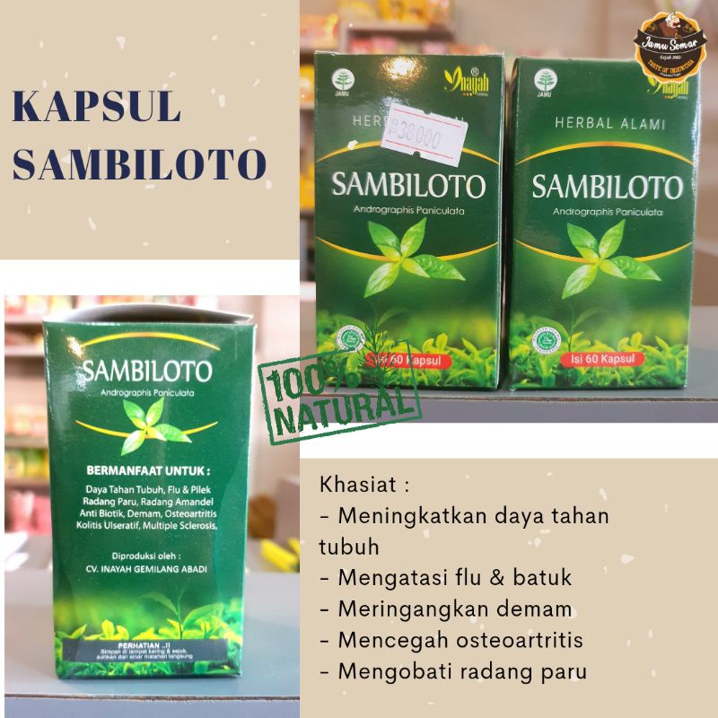 

Kapsul Sambiloto