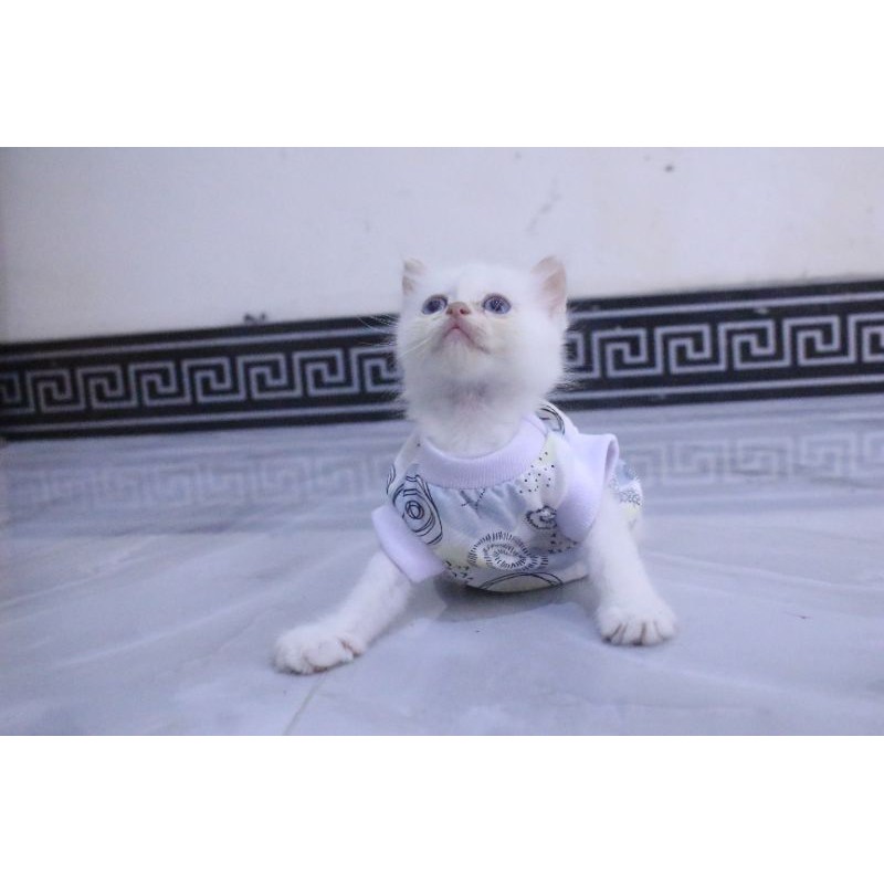 kaos rumahan motif daun abstrak lucu untuk kucing model terlengkap / baju kucing murah size S M L XL