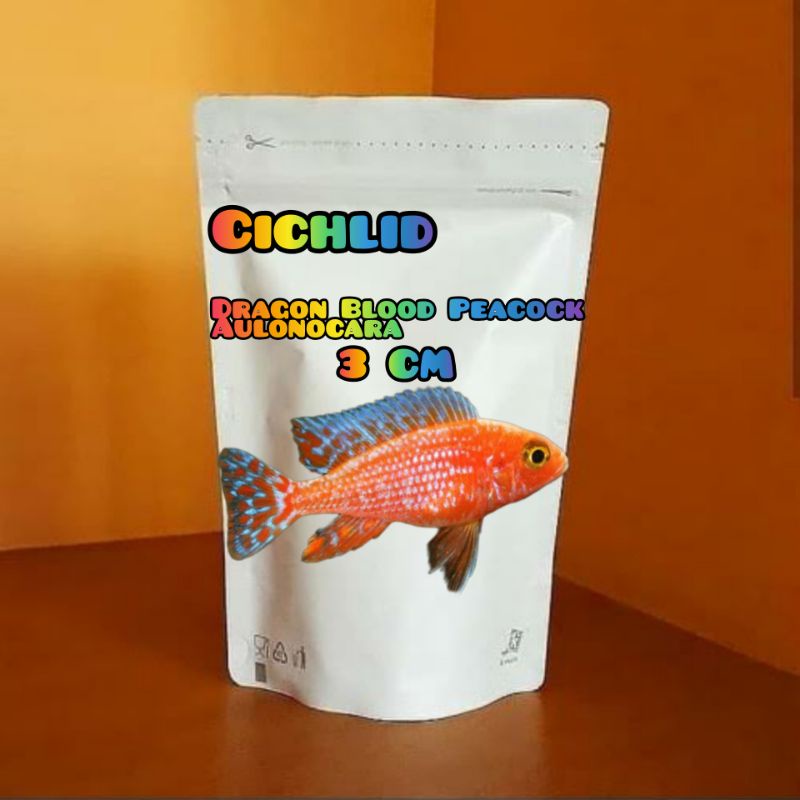 cichlid aulonocara dragon blood